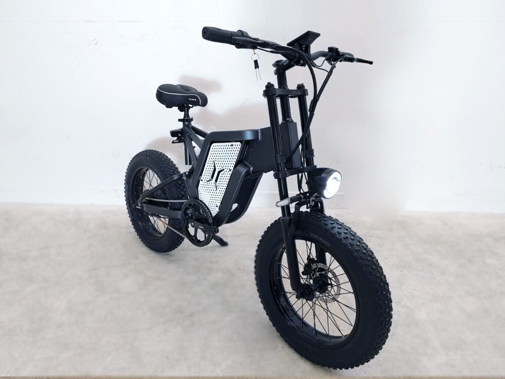 Electric cargo bike liideway M15