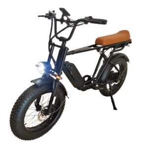 Electric bicycle company liideway M9