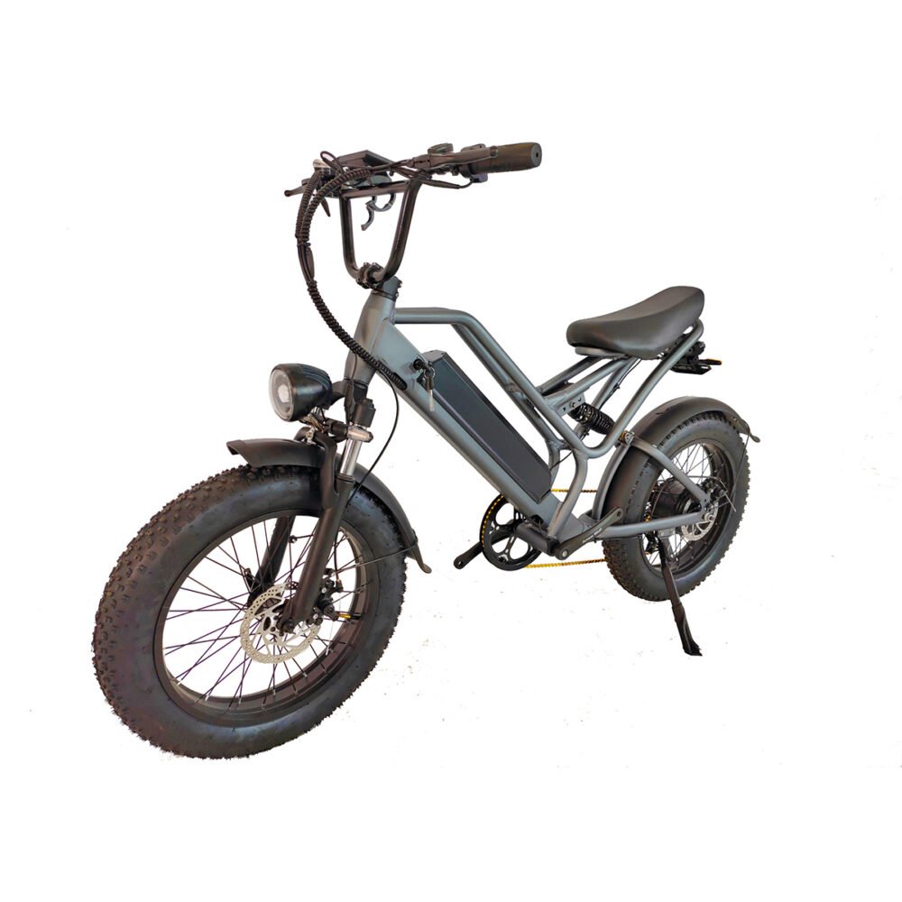 Fat tire e-bike liideway M11