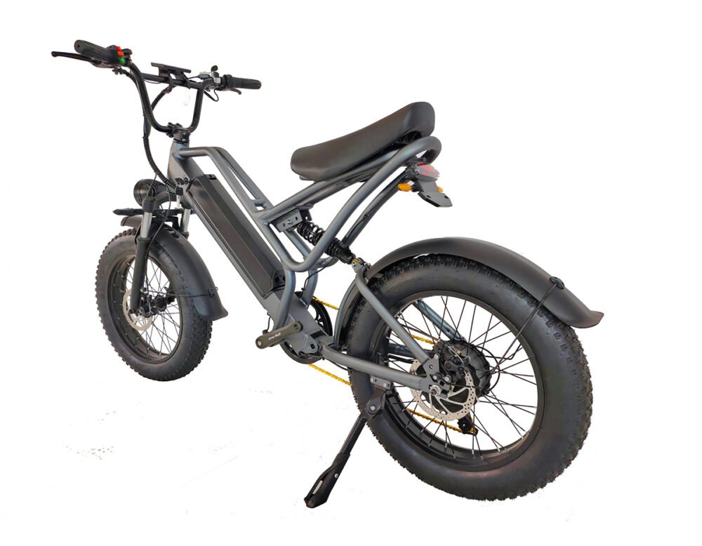 Fat tire e-bike liideway M11