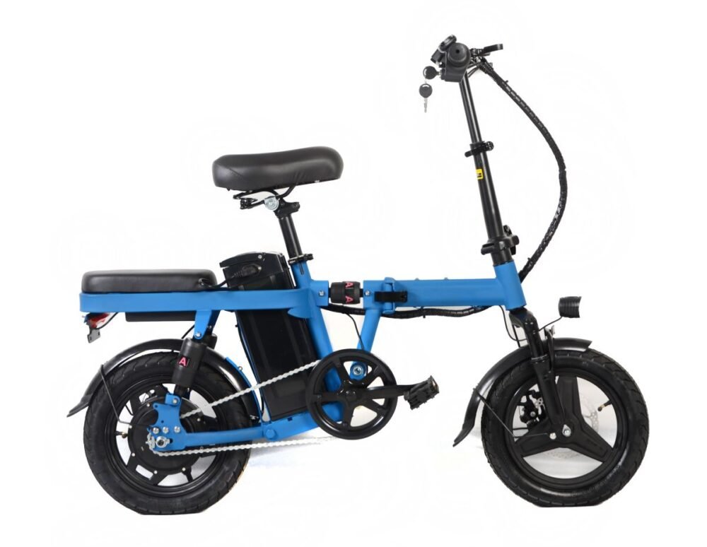 1000w electric bikes liidewayC9