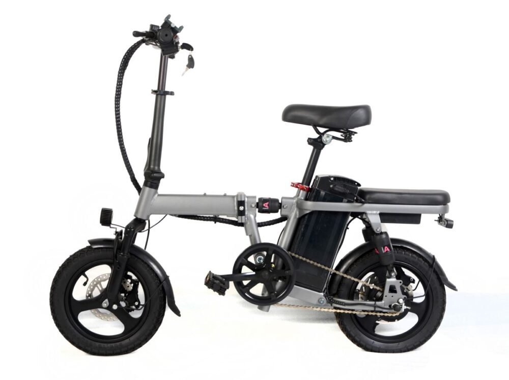 1000w electric bikes liidewayC9