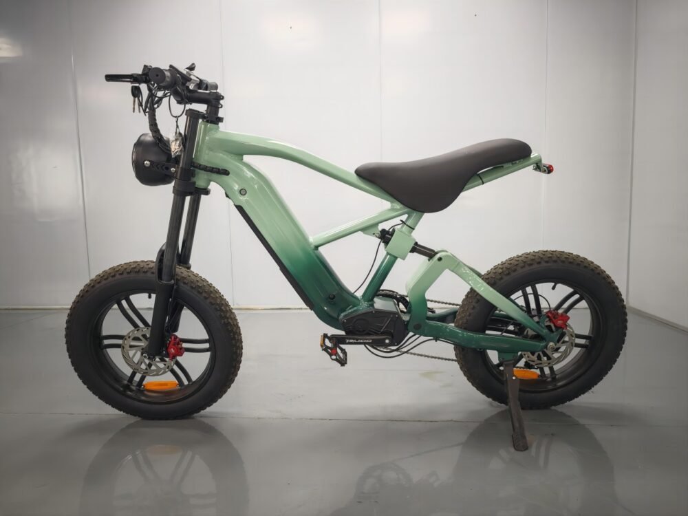 electric bike motorcycles liideway M17