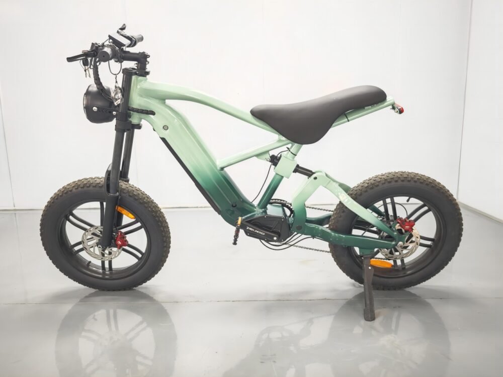 electric bike motorcycles liideway M17