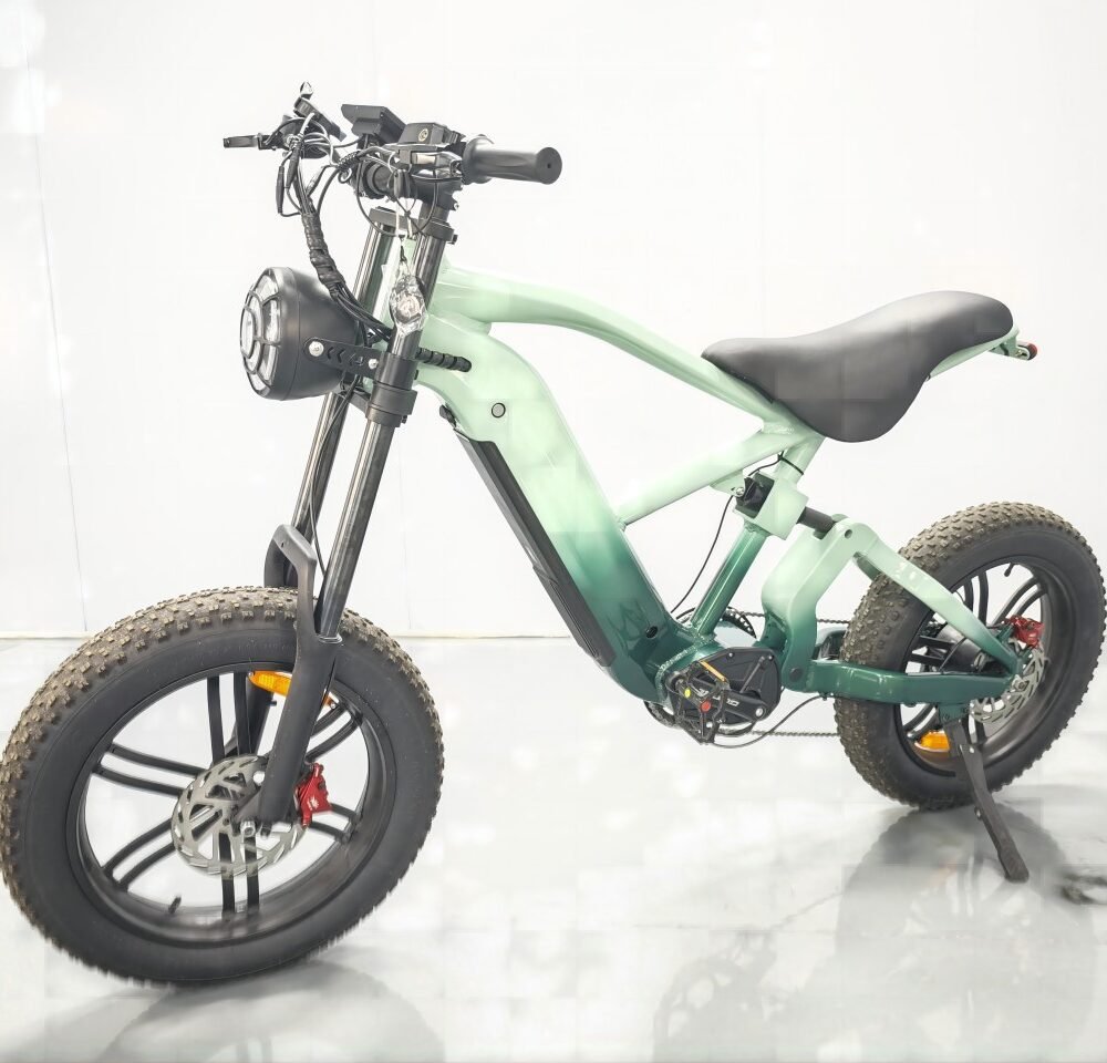 electric bike motorcycles liideway M17