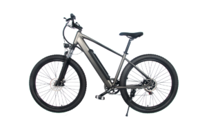 electric bike 1000w liideway MF-26