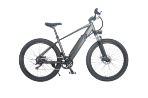 electric bike 1000w liideway MF-26