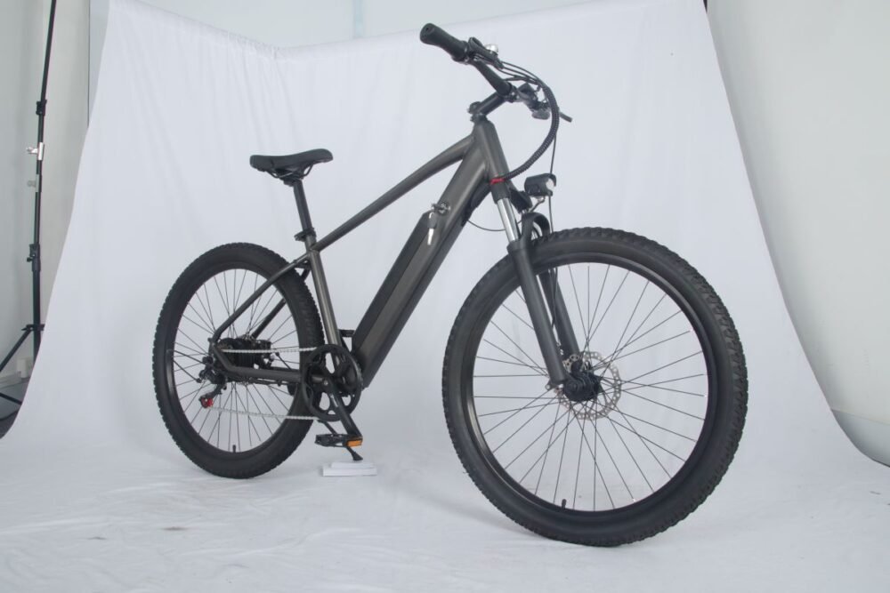 electric bike 1000w liideway MF-26