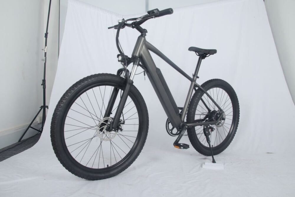 electric bike 1000w liideway MF-26