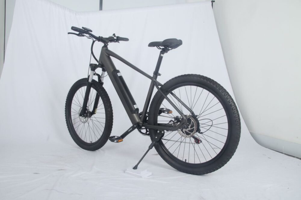 electric bike 1000w liideway MF-26