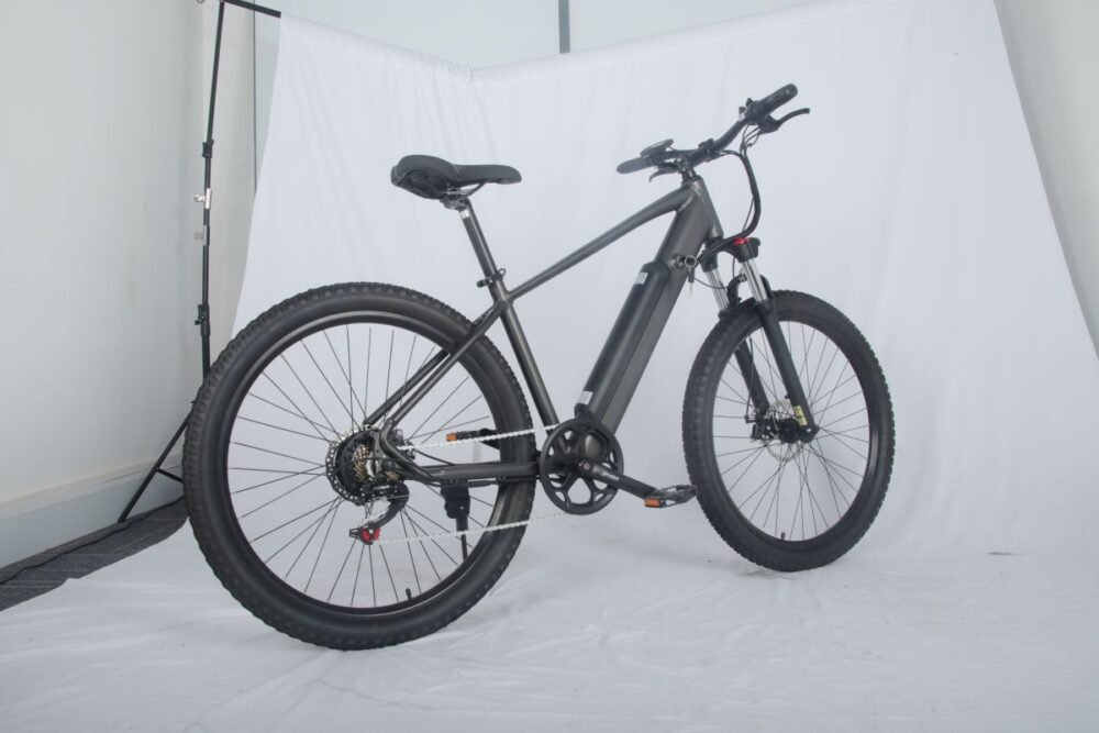 electric bike 1000w liideway MF-26