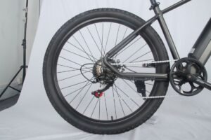 electric bike 1000w liideway MF-26