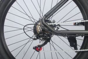 electric bike 1000w liideway MF-26