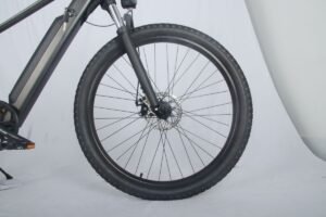 electric bike 1000w liideway MF-26