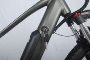 electric bike 1000w liideway MF-26
