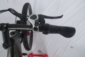 electric bike 1000w liideway MF-26