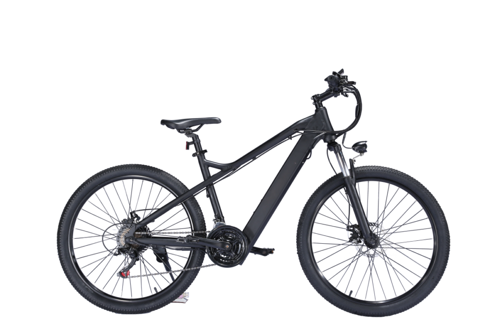 E-bike wholesale liideway BK7