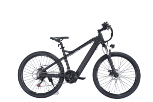 E-bike wholesale liideway BK7