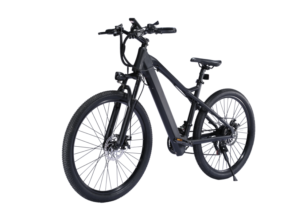 E-bike wholesale liideway BK7