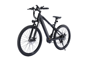 E-bike wholesale liideway BK7