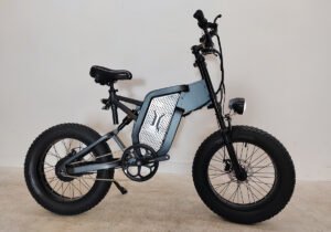 Electric cargo bike liideway M15