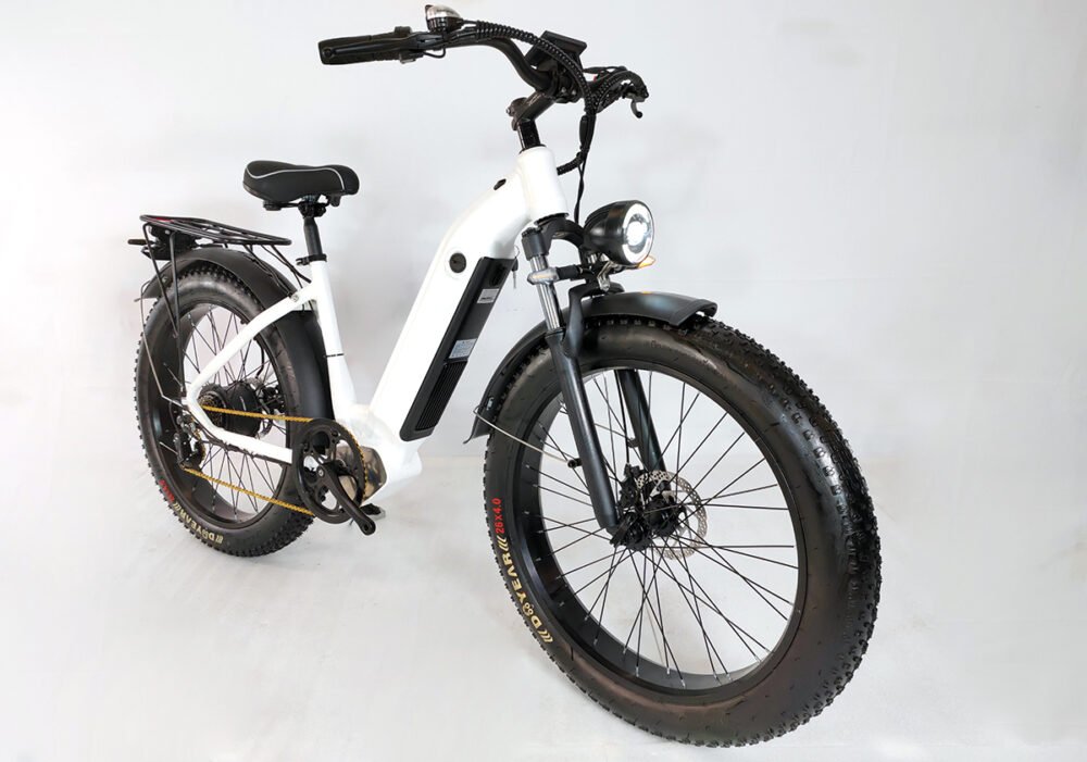 Custom e-bike manufacturer liideway M22