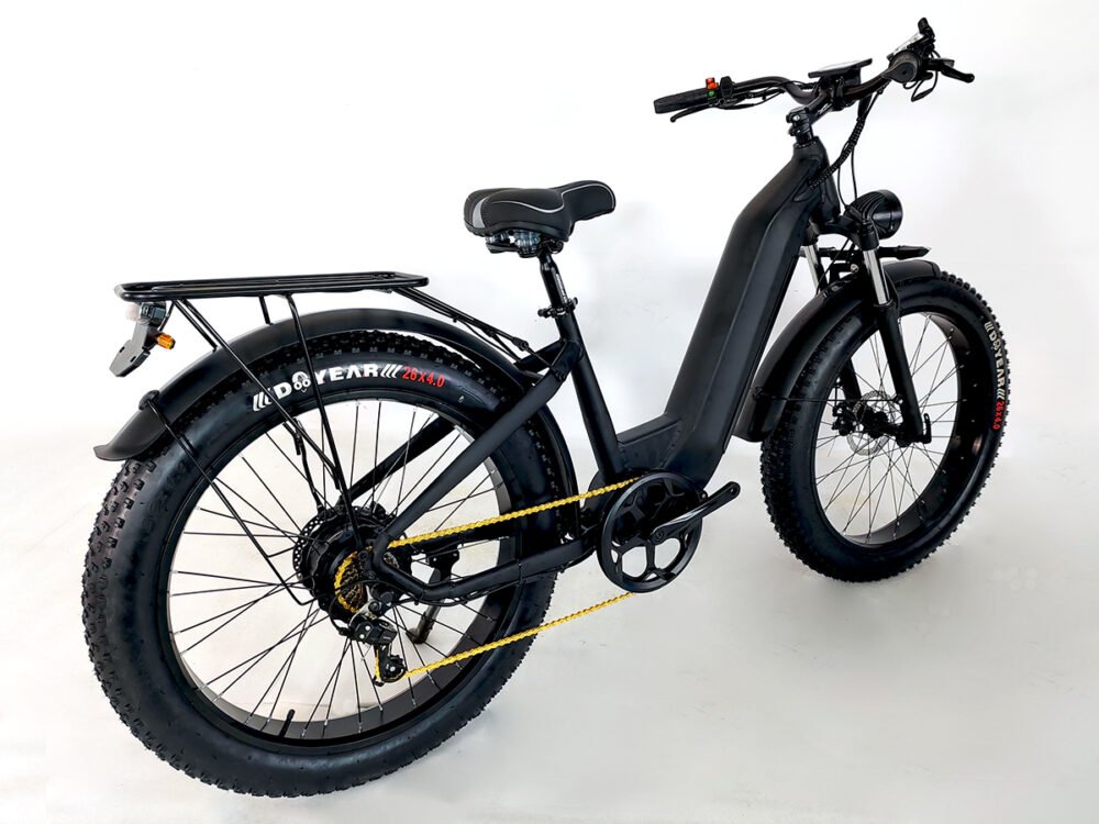 Electric bike factory liideway M19