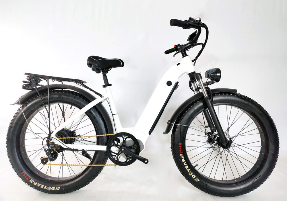 Custom e-bike manufacturer liideway M22