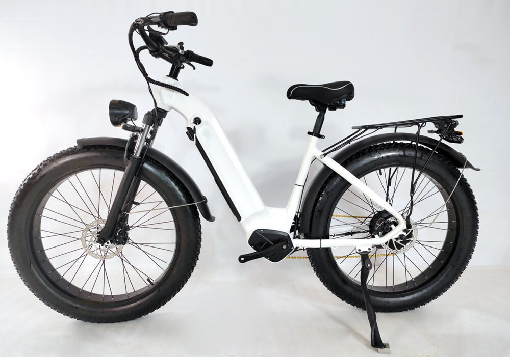 Electric bike factory liideway M19