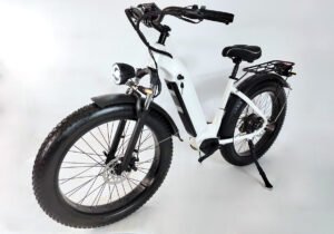 Electric bike factory liideway M19