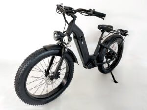 Electric bike factory liideway M19