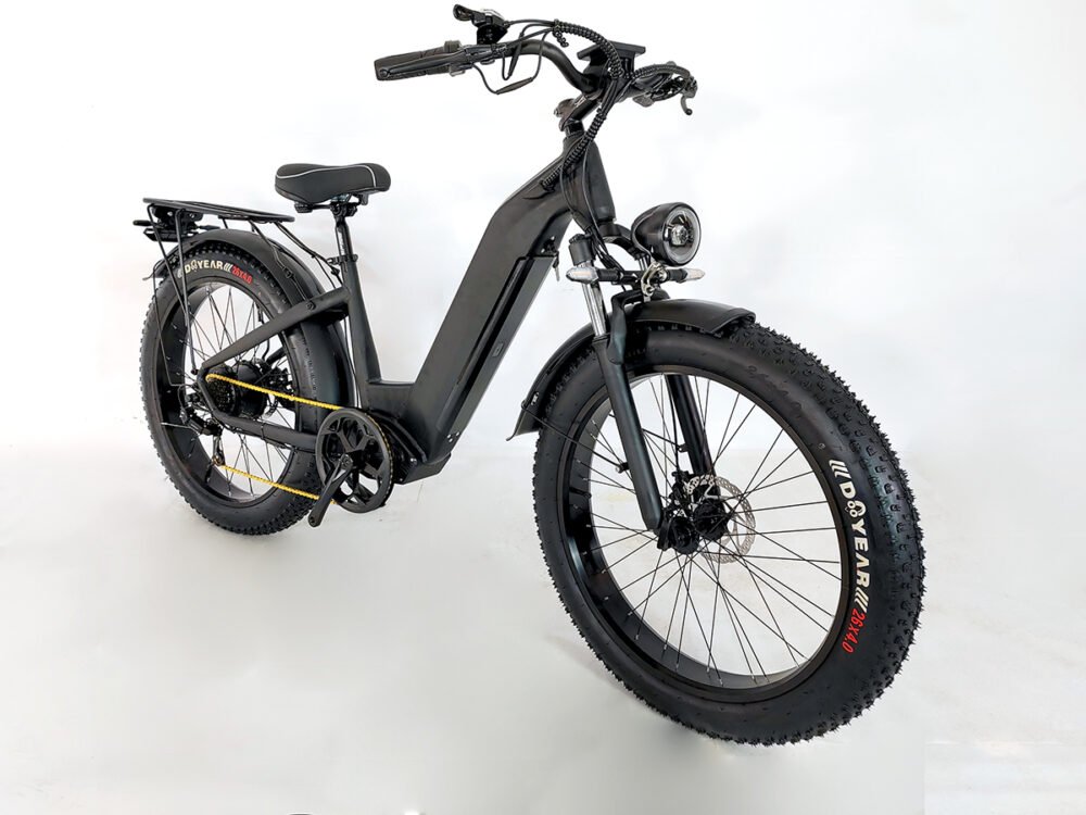 Electric bike factory liideway M19