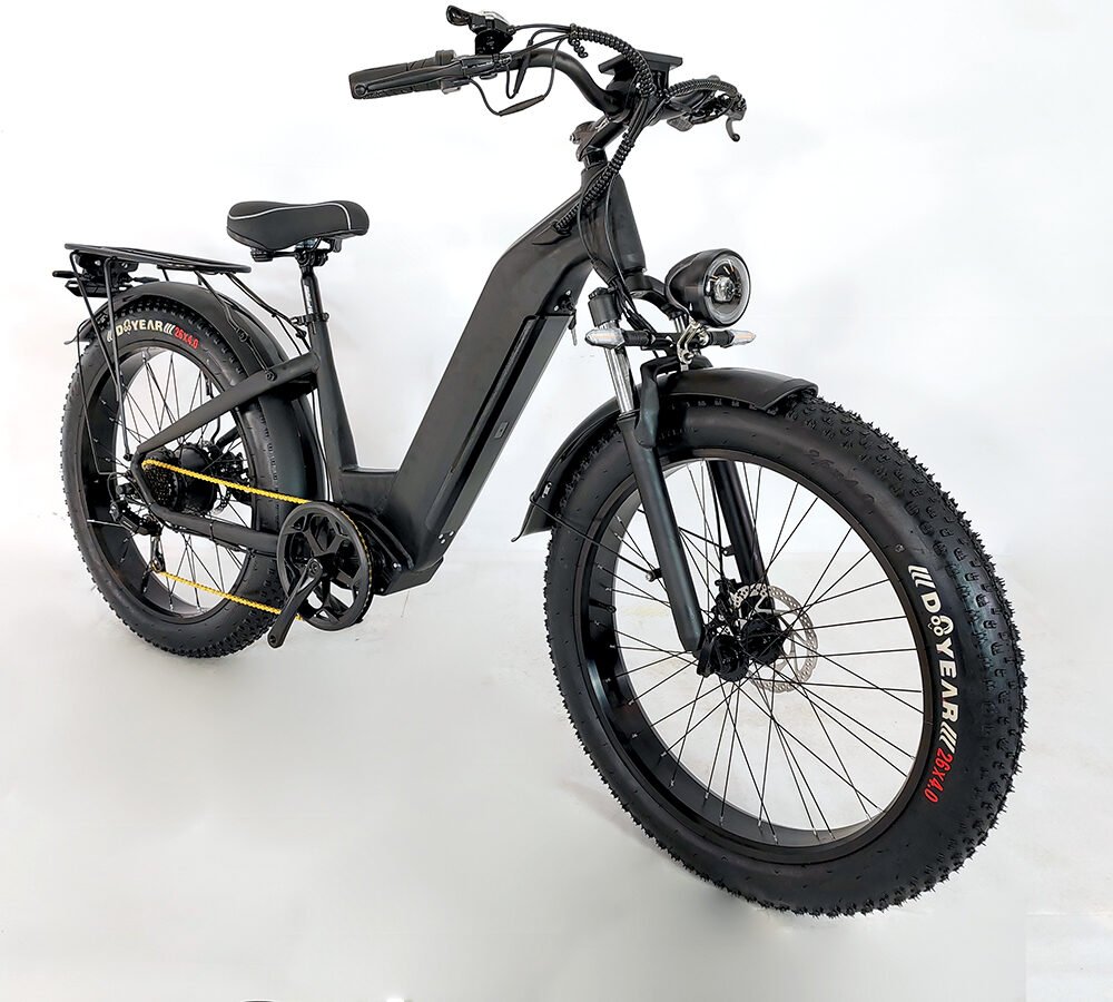 Electric bike factory liideway M19