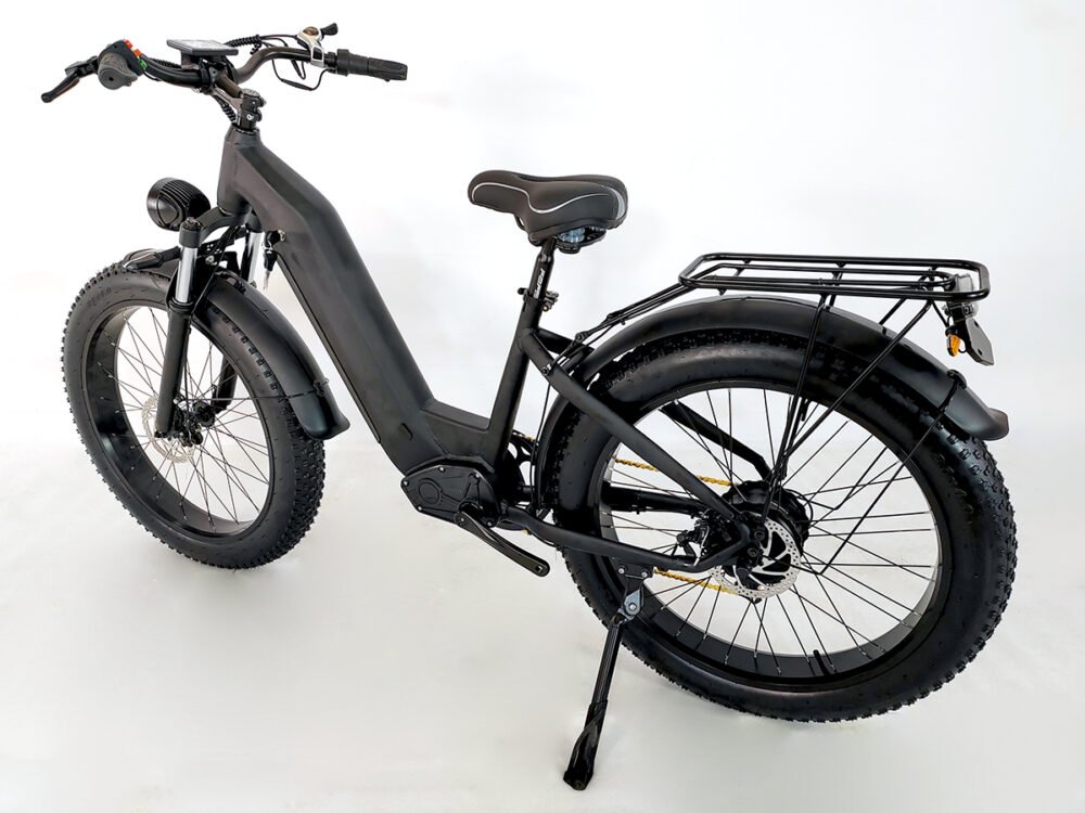 Electric bike factory liideway M19