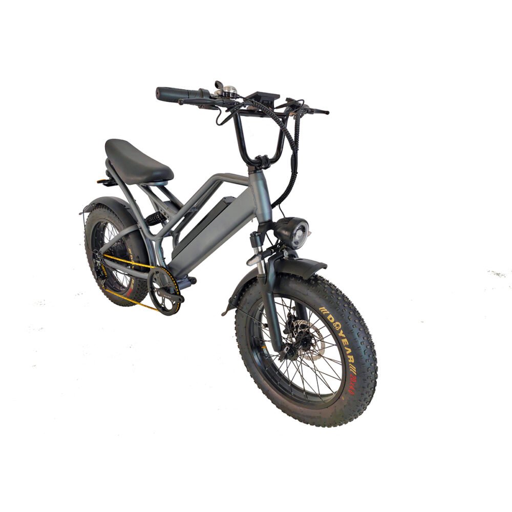 Fat tire e-bike liideway M11