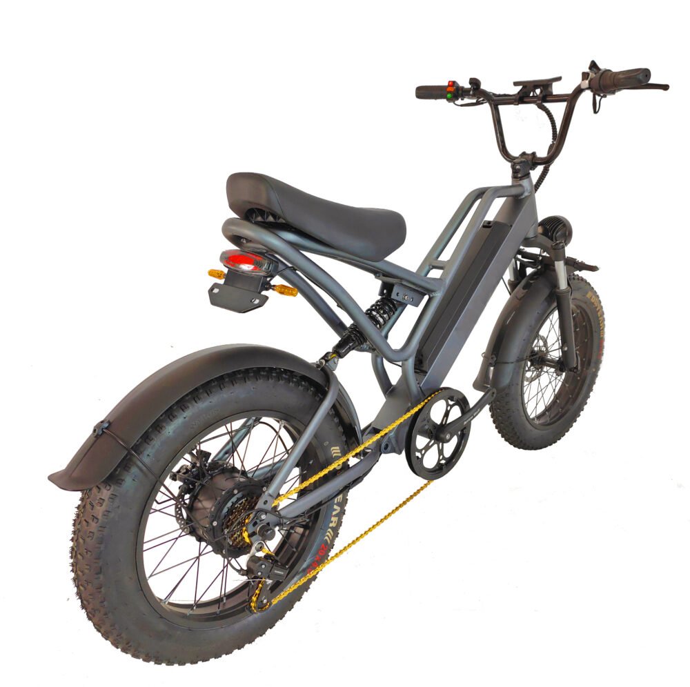 Fat tire e-bike liideway M11