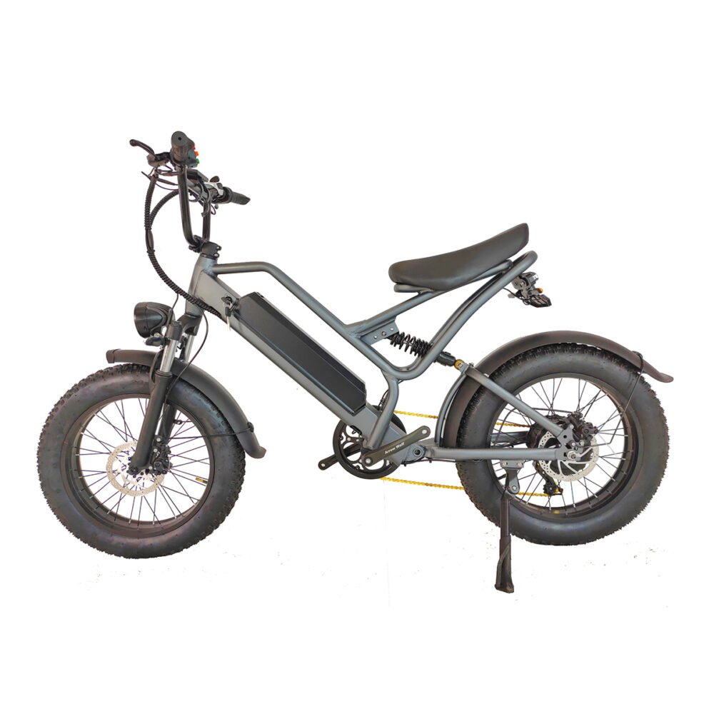 Fat tire e-bike liideway M11