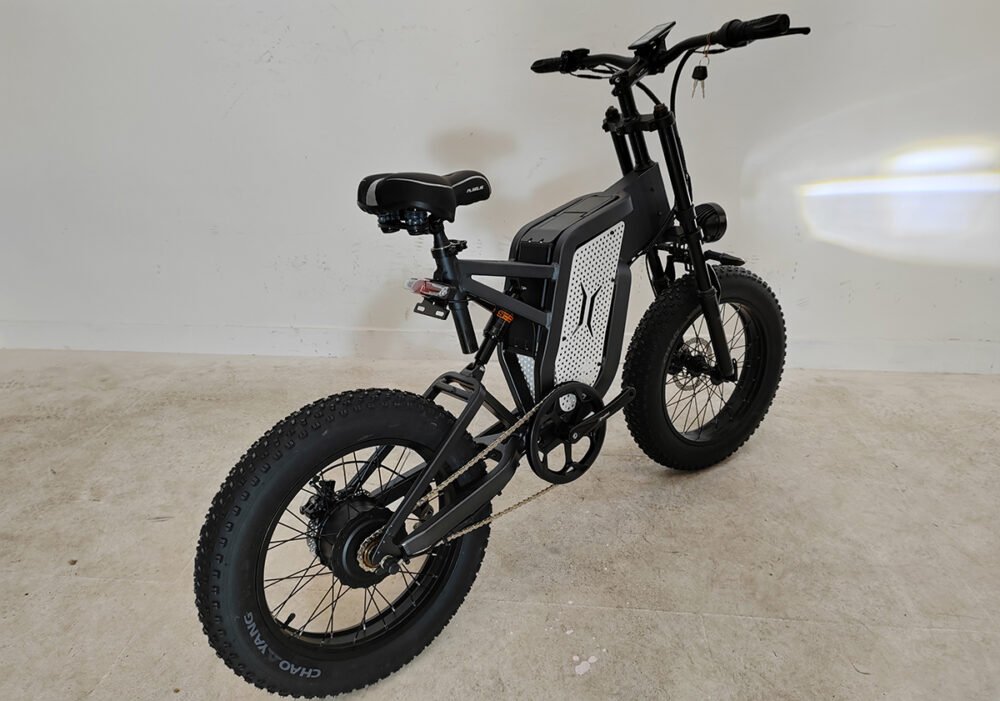 Electric cargo bike liideway M15