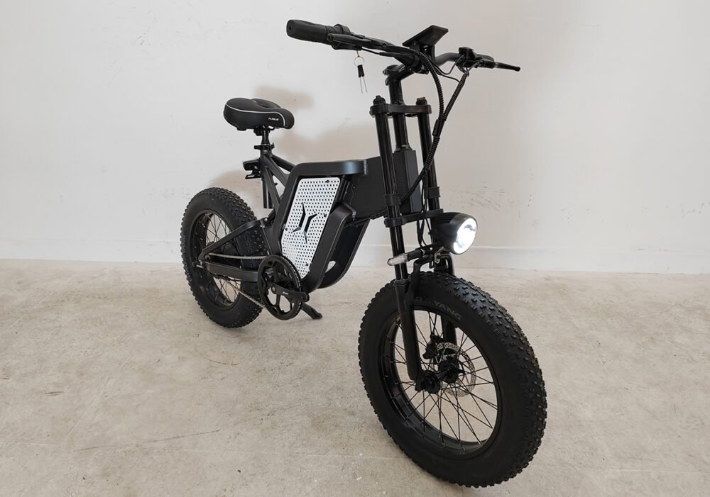 Electric cargo bike liideway M15