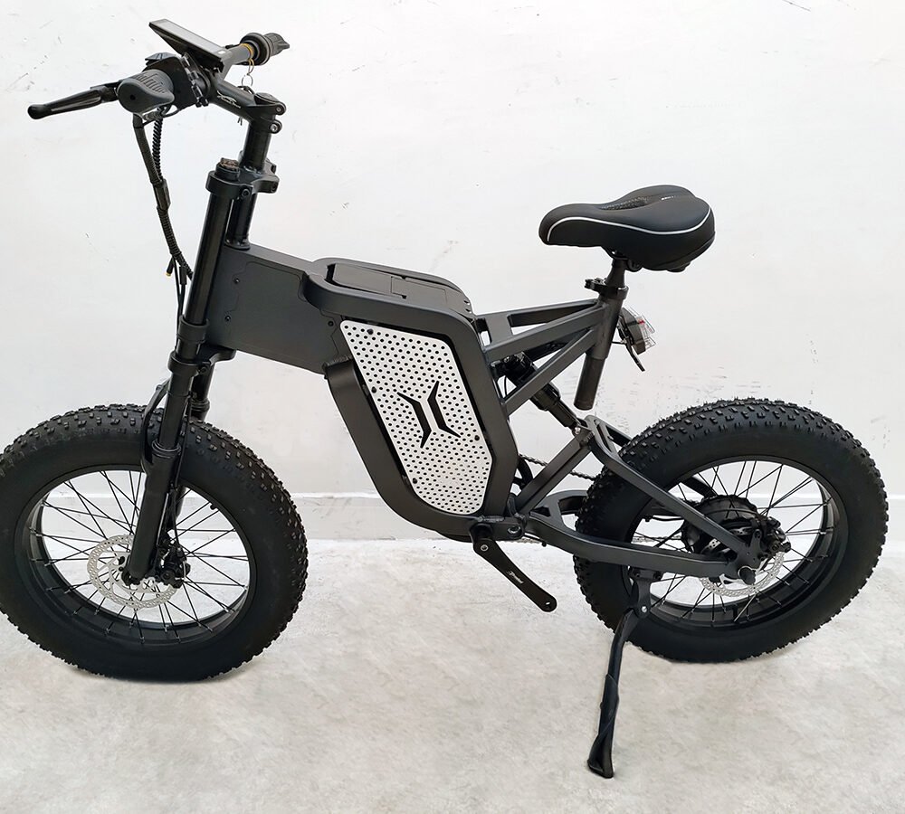 Electric cargo bike liideway M15
