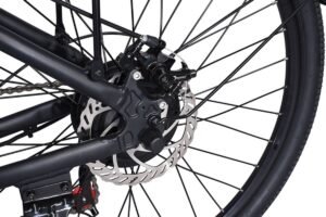 E-bike OEM liideway BK8