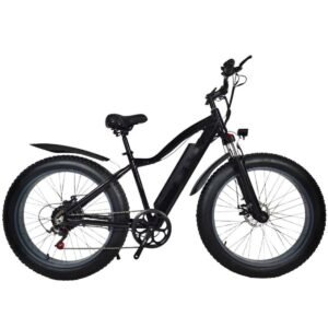 electric bike 1000w liideway K2