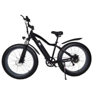 electric bike 1000w liideway K2
