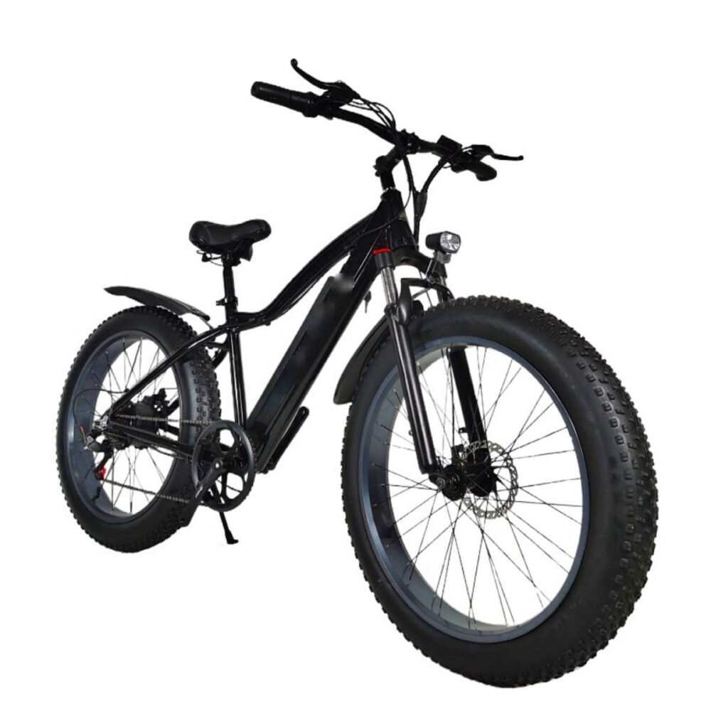 electric bike 1000w liideway K2