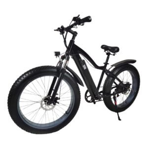 electric bike 1000w liideway K2