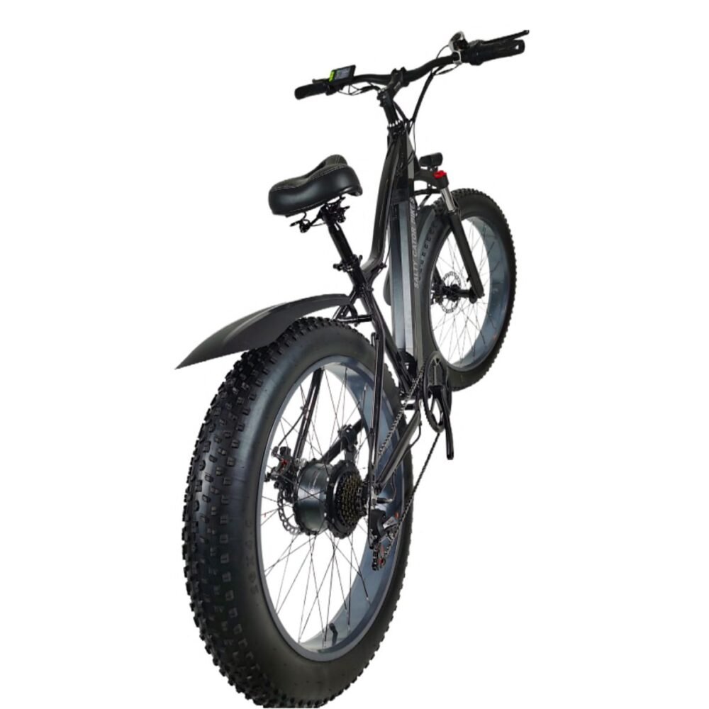 electric bike 1000w liideway K2