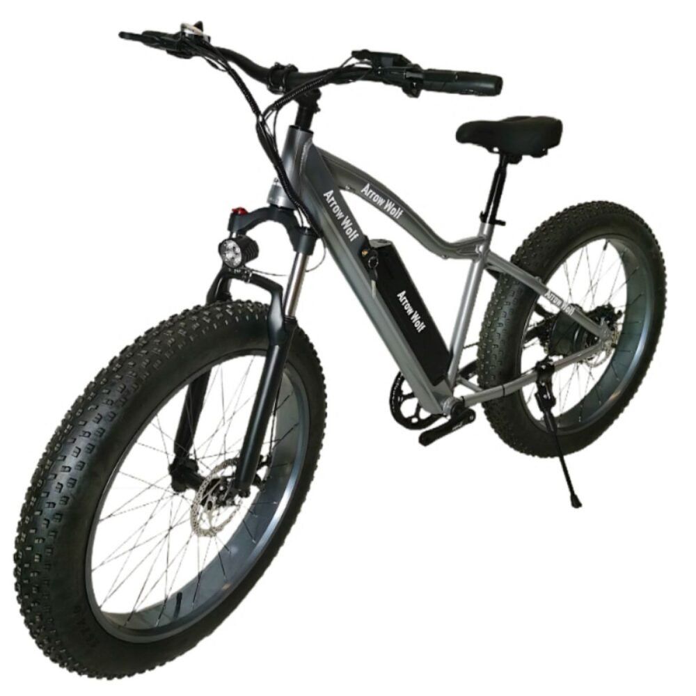 electric bike 1000w liideway K2