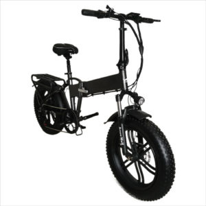 Cargo e-bike liideway M2