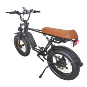 Electric bicycle company liideway M9