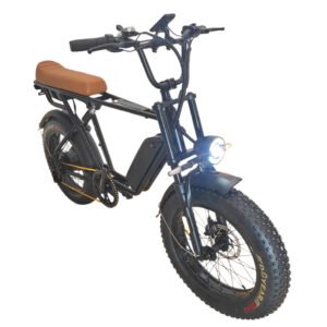 Electric bicycle company liideway M9